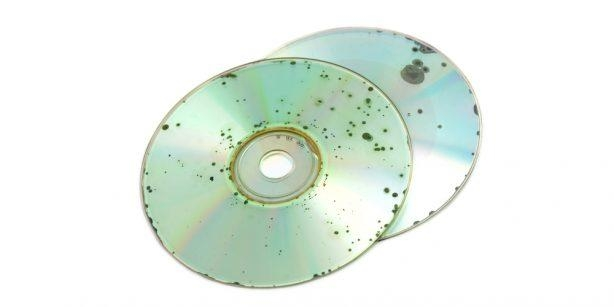 Two compact discs mottled with green disc rot