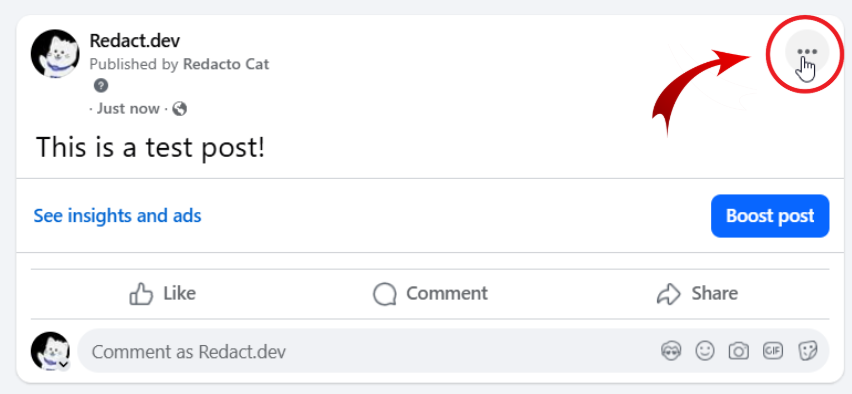 A published Page post with the three-dot menu in its top-right corner circled