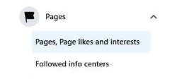 The activity log menu with Pages open, showing Pages, Page likes and interests