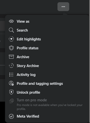The profile's three-dot menu with Activity log between Story Archive and Profile and tagging settings