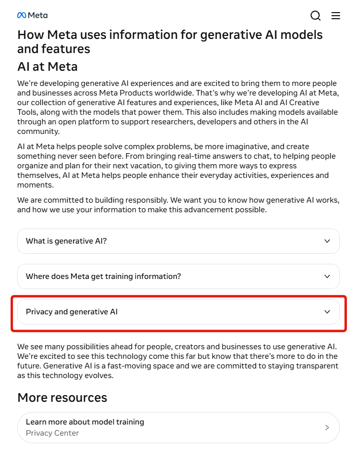 The Privacy and generative AI accordion