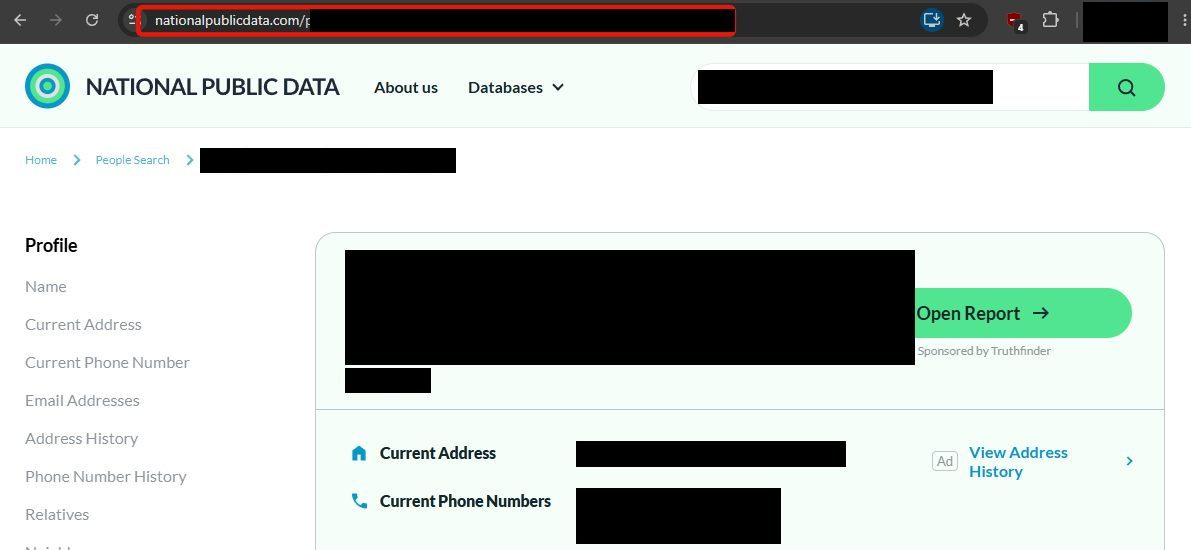 A National Public Data profile page with the browser address bar highlighted and all personal details redacted