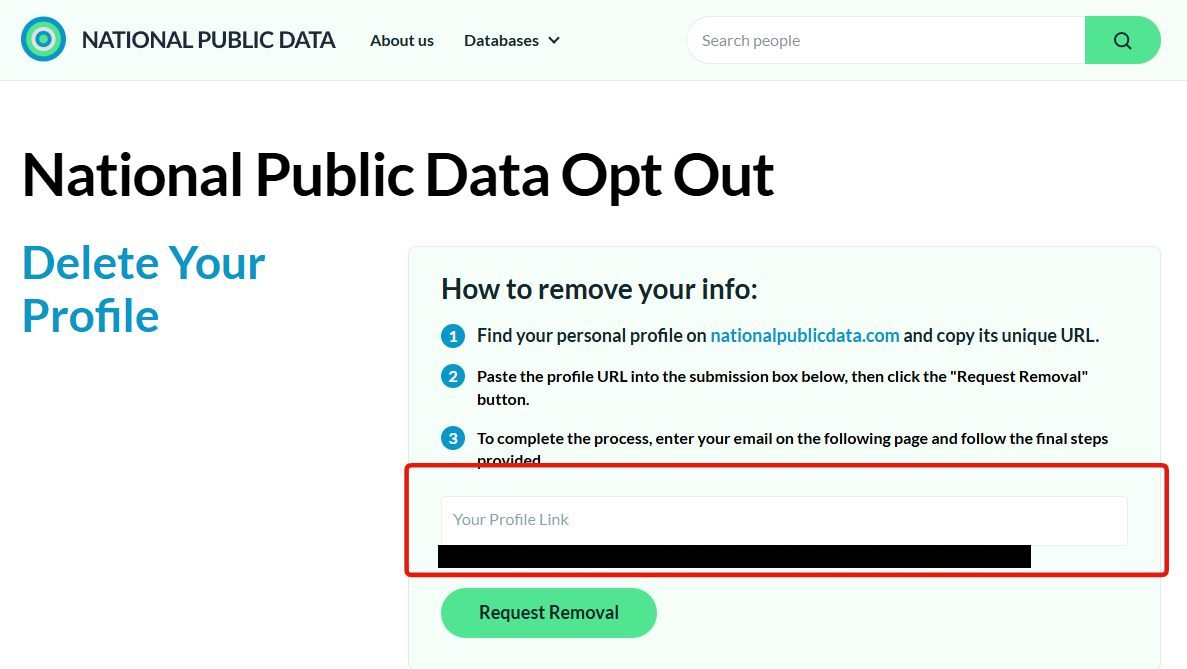 The National Public Data opt-out page with the Your Profile Link submission box highlighted above the green Request Removal button