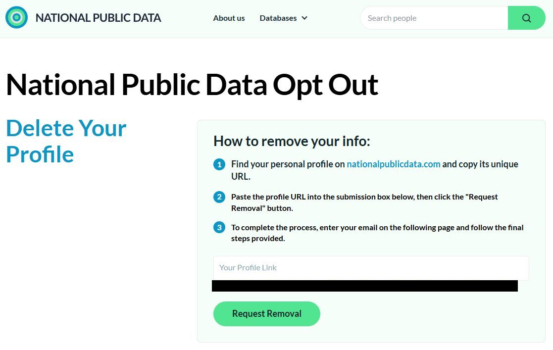 The National Public Data Opt Out page headed Delete Your Profile, with a three-step How to remove your info list, a Your Profile Link box, and a green Request Removal button