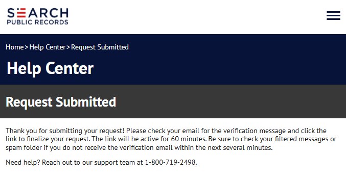 Search Public Records' Request Submitted screen. The text asks for a click on the emailed link and gives it 60 minutes.