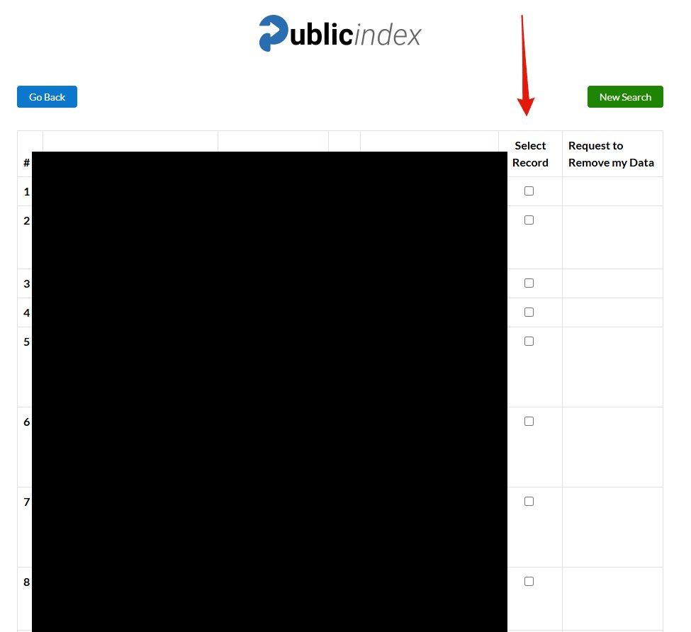 ThePublicIndex results table with columns for Report ID, Name, Age, Addresses, a Select Record checkbox column and a Request to Remove my Data column, with Go Back and New Search buttons above it